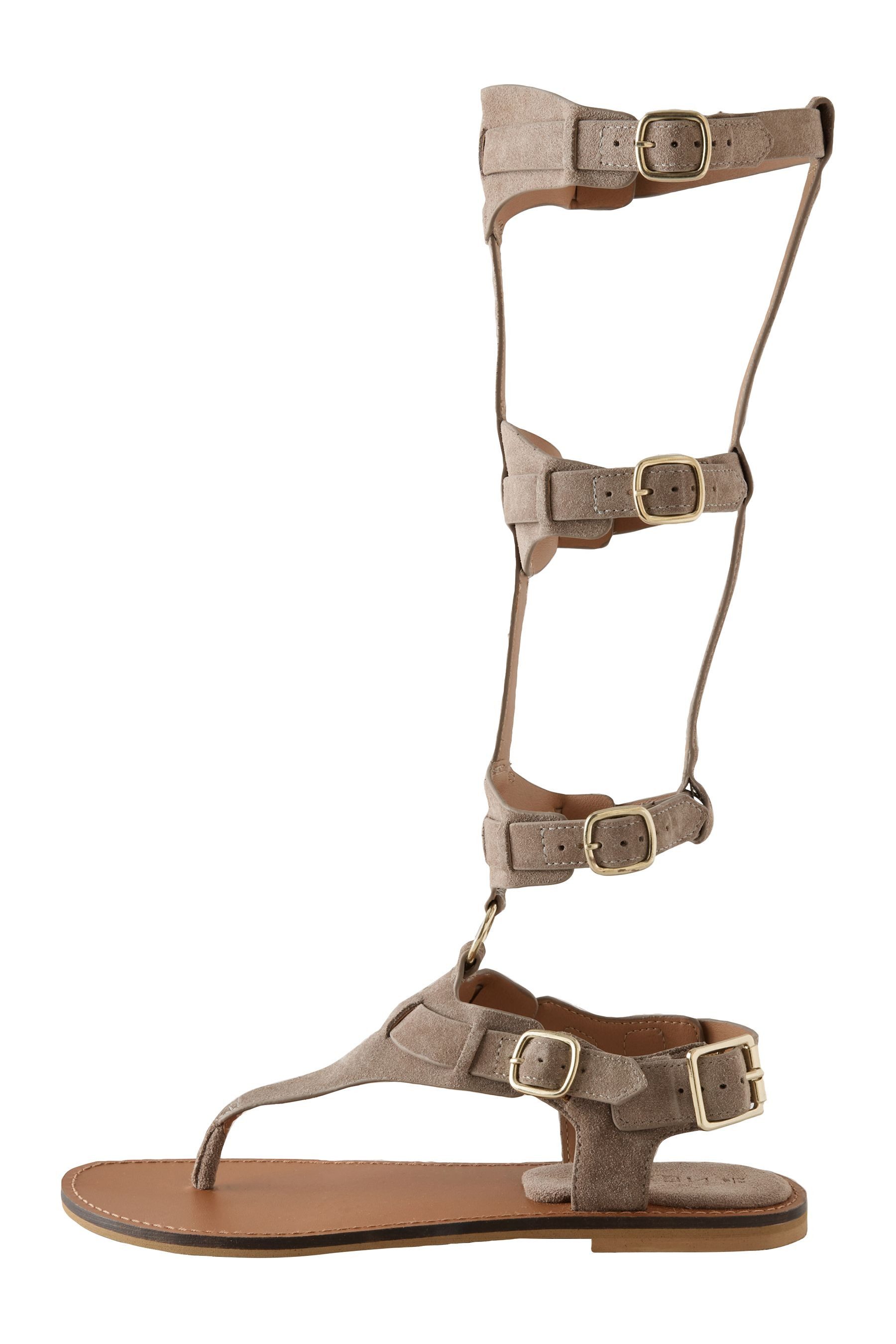 Next Kniehohe Römersandalen Römersandale (1-tlg)