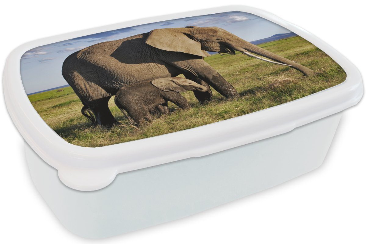 Brotbox und Grasland - für Tiere Brotdose, Erwachsene, Grün MuchoWow weiß Lunchbox (2-tlg), Grau, - Kinder und - Mädchen - Kunststoff, Elefant für Jungs