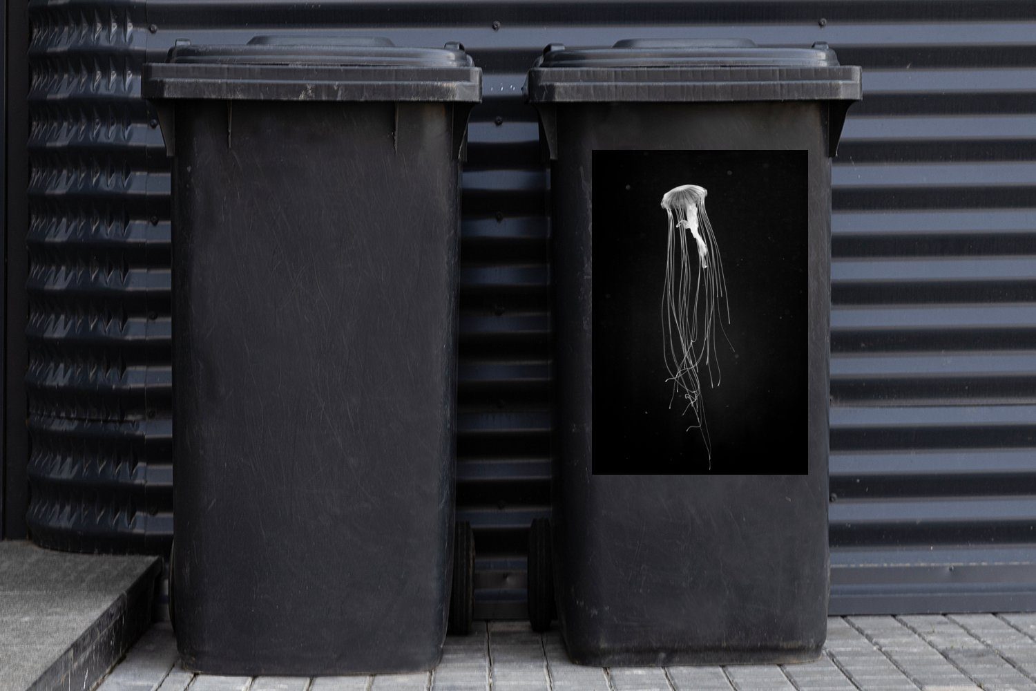 - dunklem Mülleimer-aufkleber, schwarz St), MuchoWow Quallen (1 und weiß Mülltonne, auf Wandsticker Hintergrund Abfalbehälter Container, Sticker,