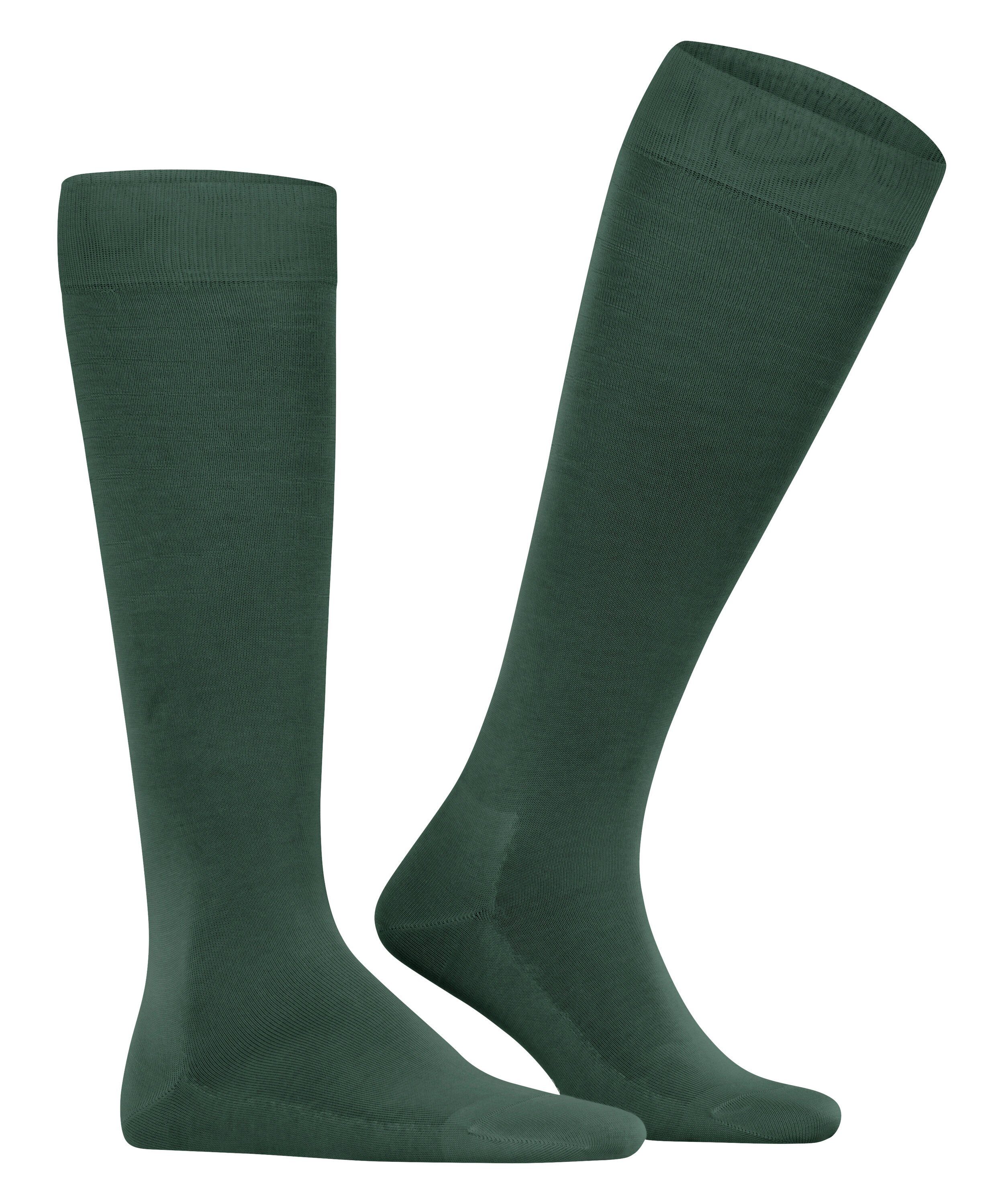 Glanz FALKE Tiago Kniestrümpfe hunter leichtem mit (1-Paar) (7441) green