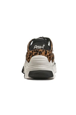 Ash Addict Ter Sneaker