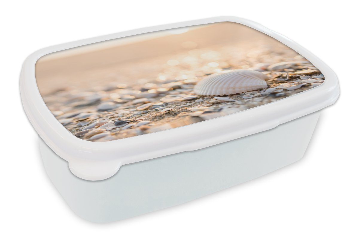 MuchoWow Lunchbox Muscheln - Weiß - Strand - Sommer, Kunststoff, (2-tlg), Brotbox für Kinder und Erwachsene, Brotdose, für Jungs und Mädchen