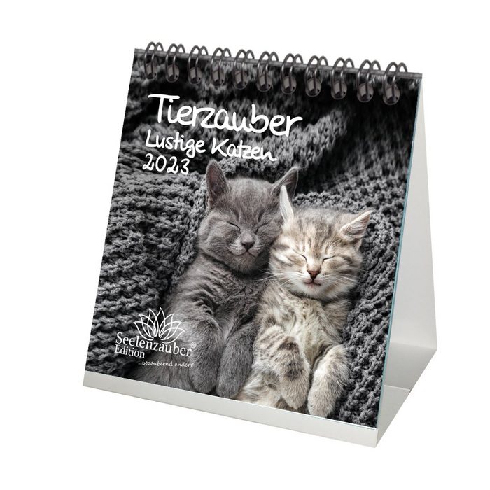 Seelenzauber Tischkalender Tierzauber lustige Katzen Tischkalender für 2023 Format 10cm x 10cm