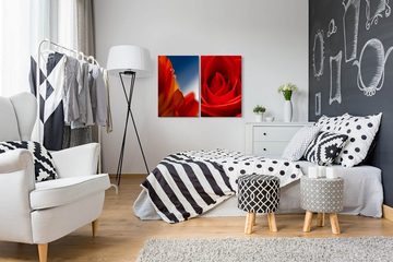 Sinus Art Leinwandbild 2 Bilder je 60x90cm Rose Liebe Rot Romantisch Blumen Leidenschaft Dekorativ