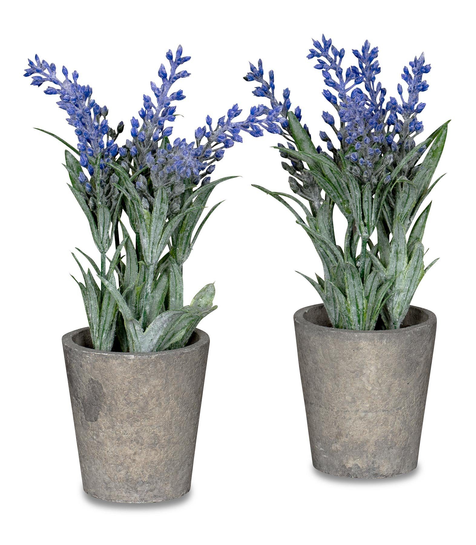 Set Violett Deko Zimmerpflanze 2er Je Kunstblumen Lavendel Levandeo®, Kunstpflanze, H34cm