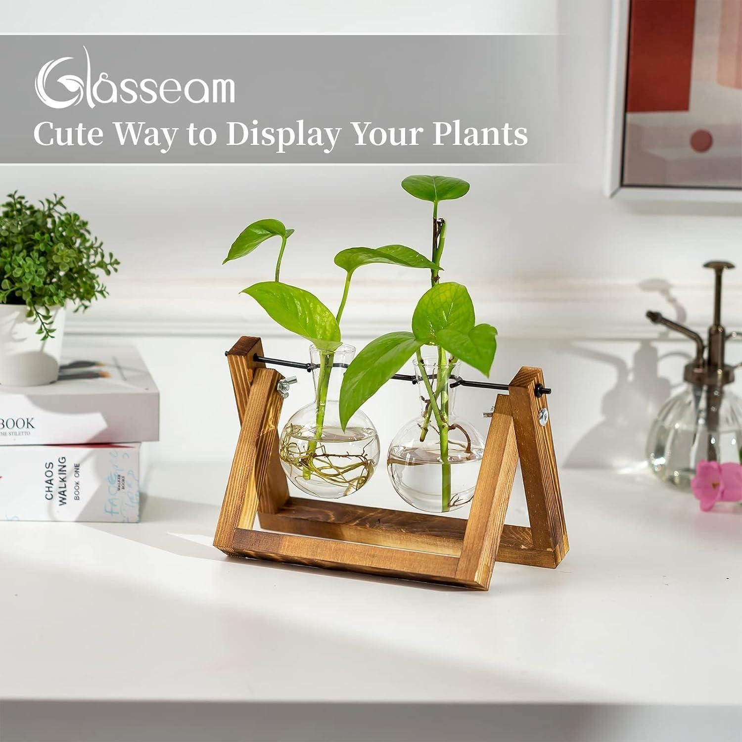 LuxusKollektion Tischvase Vermehrungsstation Pflanzen Upgrade Zwiebel Vase Holzständer Glas