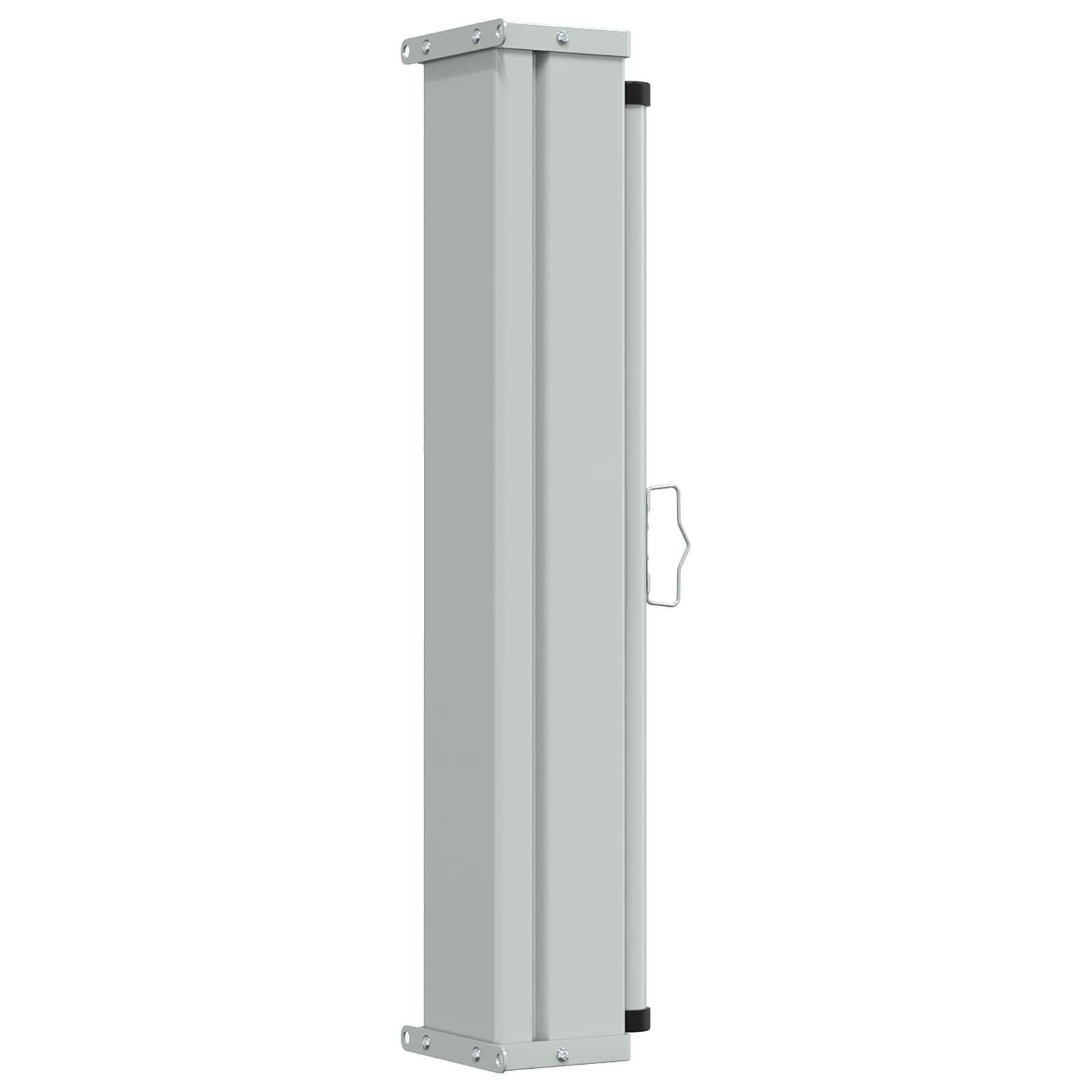 vidaXL Seitenmarkise Seitenmarkise 100 x 300 cm 100% Polyester Eisen Stahl (1-St)
