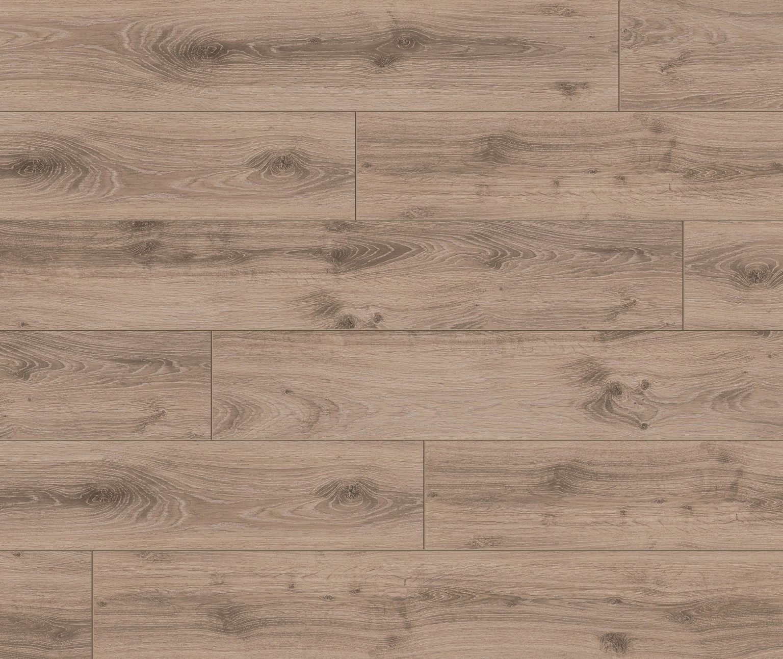 PARADOR Laminat PARADOR Laminat Classic 1050 – 8 mm, PARADOR Laminat Classic 1050: 8 mm