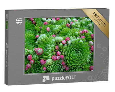 puzzleYOU Puzzle Sukkulenten, Pflanzen mit kleinen Blüten, 48 Puzzleteile, puzzleYOU-Kollektionen Kakteen