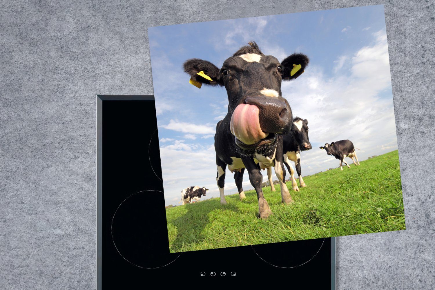 Zunge, Arbeitsplatte für - 78x78 Vinyl, Kuh - tlg), Gras (1 cm, Ceranfeldabdeckung, küche MuchoWow Herdblende-/Abdeckplatte