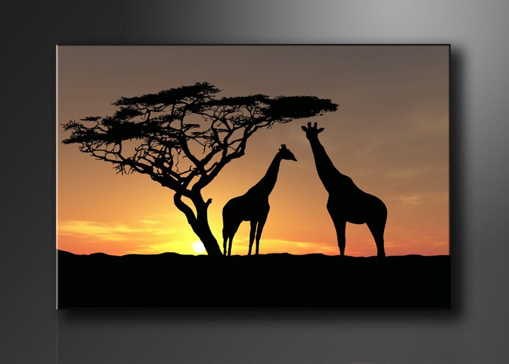 Visario Leinwandbild Wandbild auf Leinwand 80 günstig online kaufen