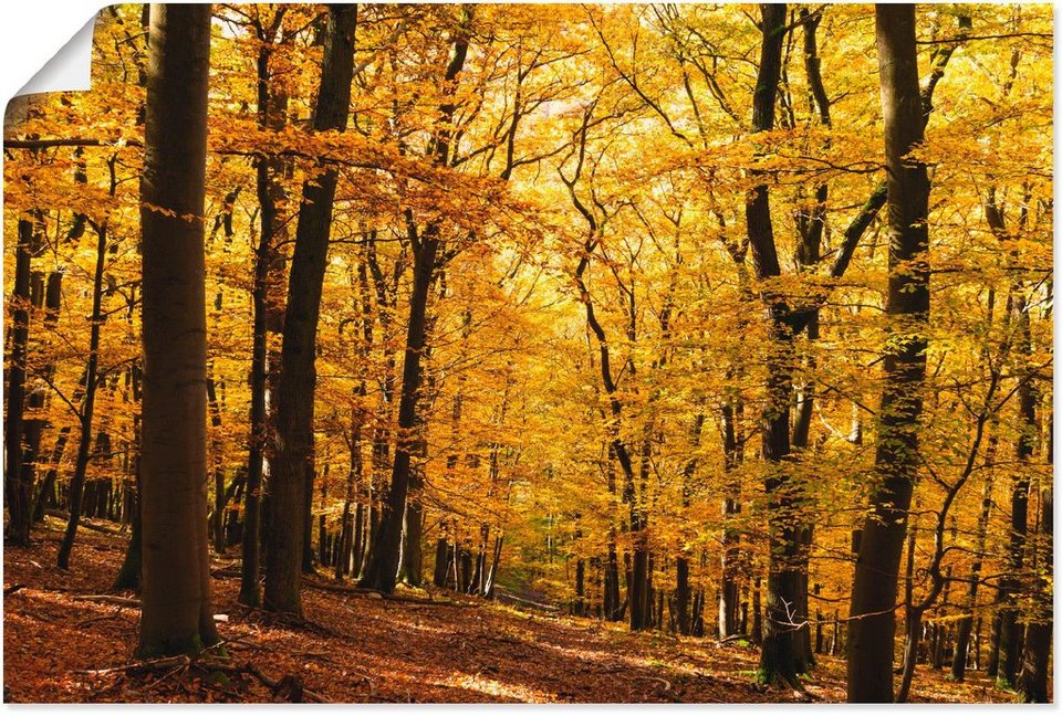 Artland Wandbild Spaziergang im Herbstwald, Wald (1 St), als Alubild,  Outdoorbild, Leinwandbild, Poster in verschied. Größen