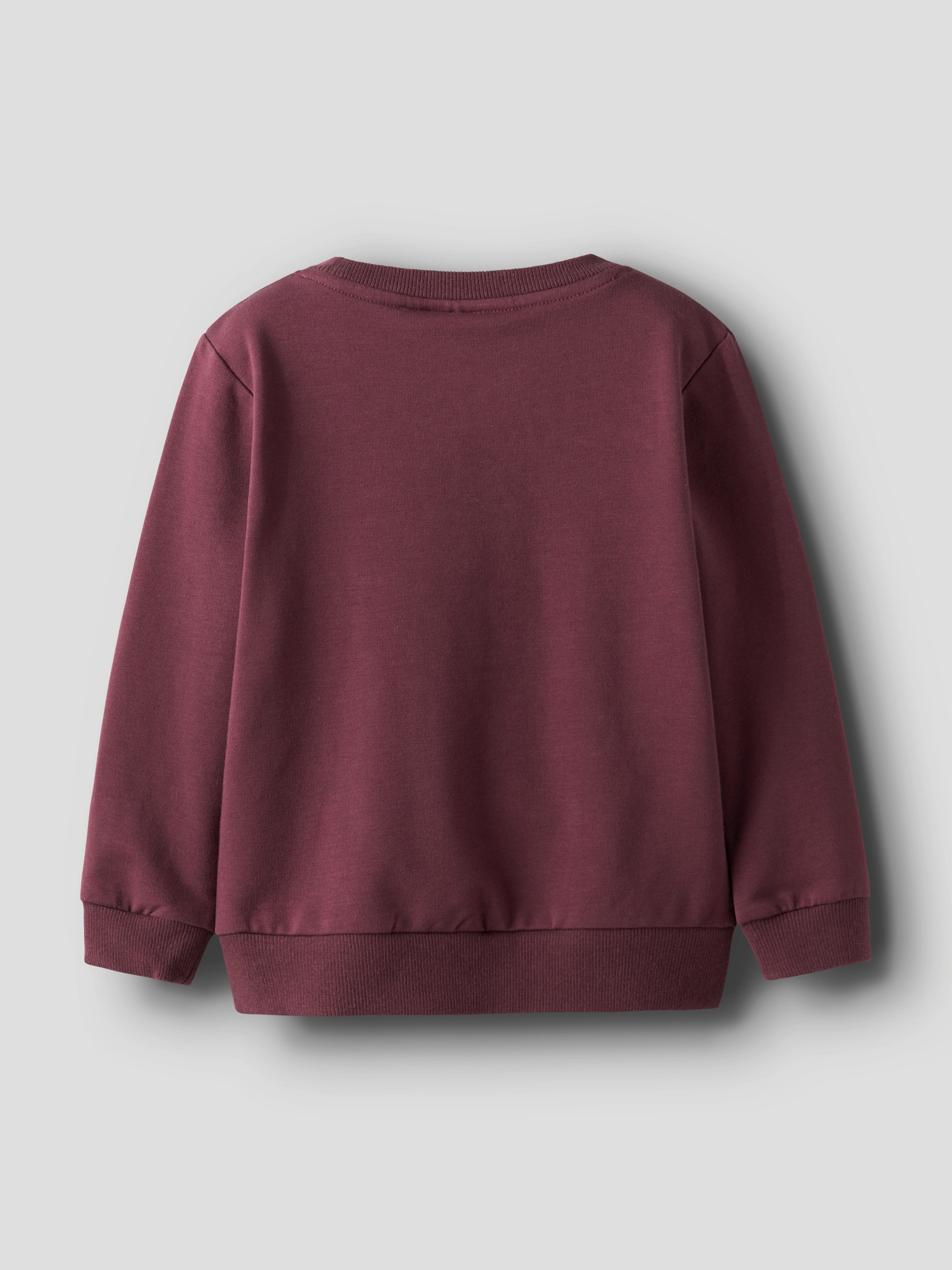 Name It Sweatshirt NMFREAR LS SWEAT BRU