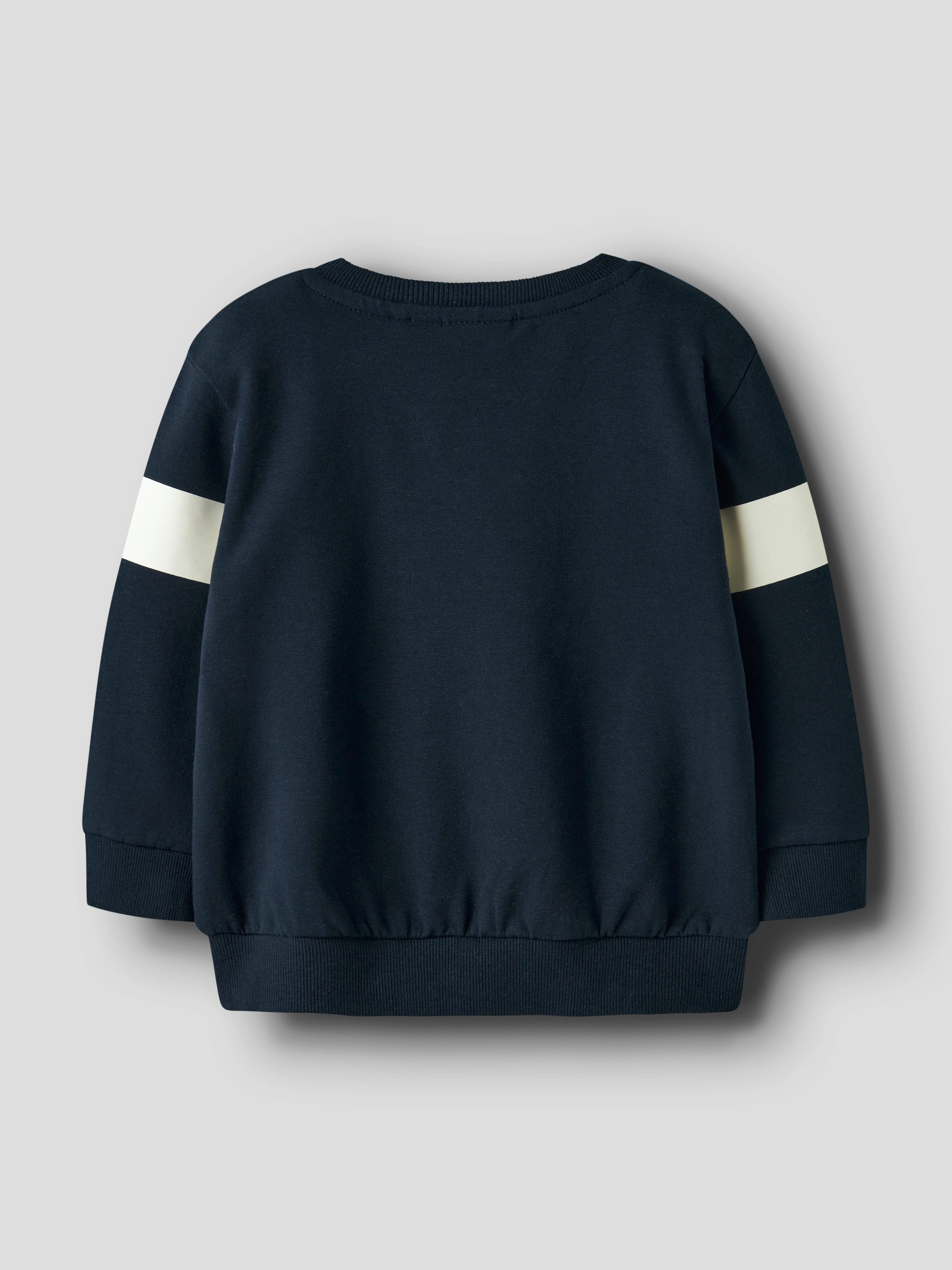 Name It Sweatshirt NMMJUSSY POKEMON NREG SWEAT BRU NOOS SKY