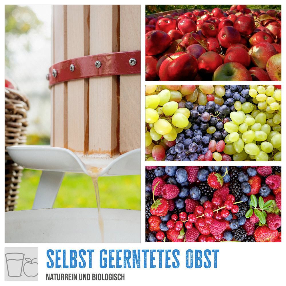 Güde Entsafter Güde Obst & Beerenpresse OP18