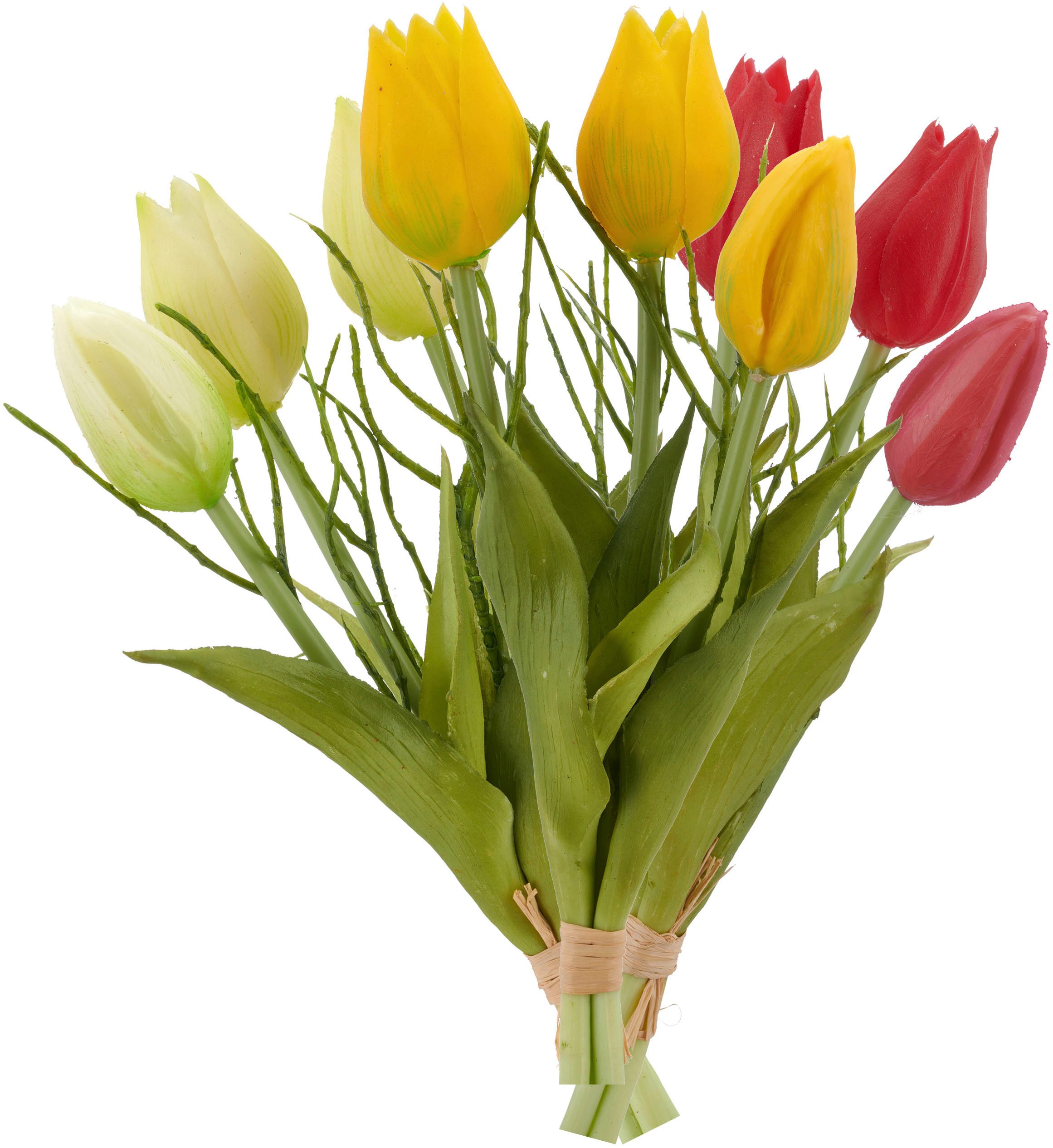 Kunsttulpe Tulpenbund, Creativ green, Höhe 25 cm, mit Zweigen