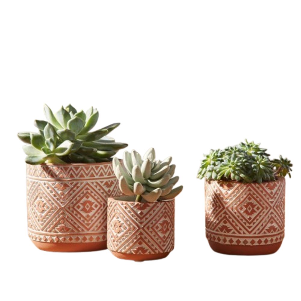 Blumentopf Blumentopf Terracotta Pflanztopf Blumentöpfe Pflanzgefäss Pflanzer