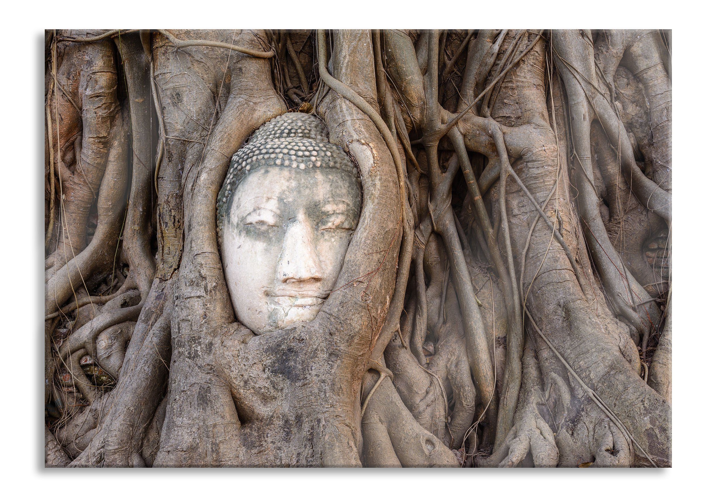Pixxprint Glasbild Buddha Kopf im Baum, Buddha Kopf im Baum (1 St), Glasbild aus Echtglas, inkl. Aufhängungen und Abstandshalter