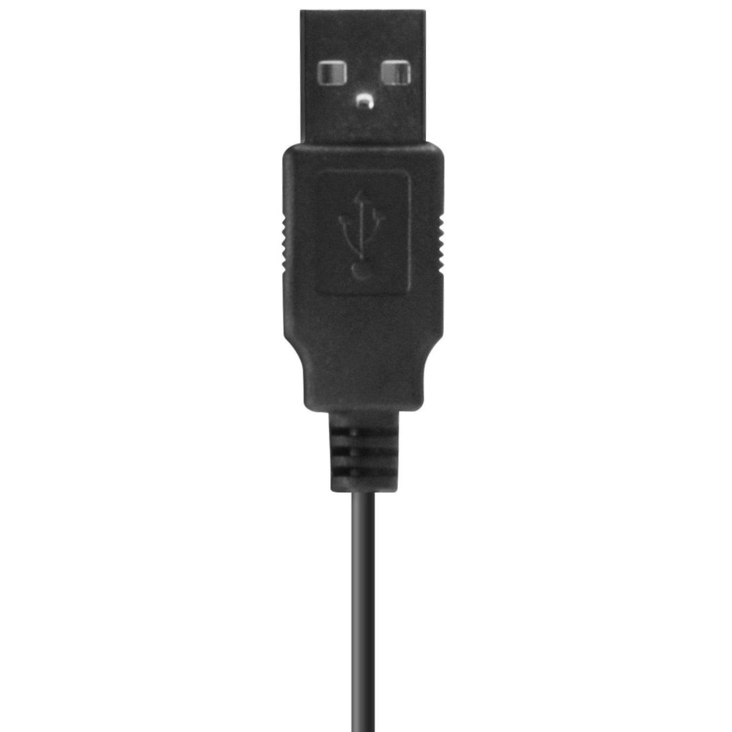 Speedlink AUDIVIS Videokonferenz Webcam Konferenz 100° Webcam (Für Video-Konferenz mit Mikrofon + Lautsprecher 1080p)