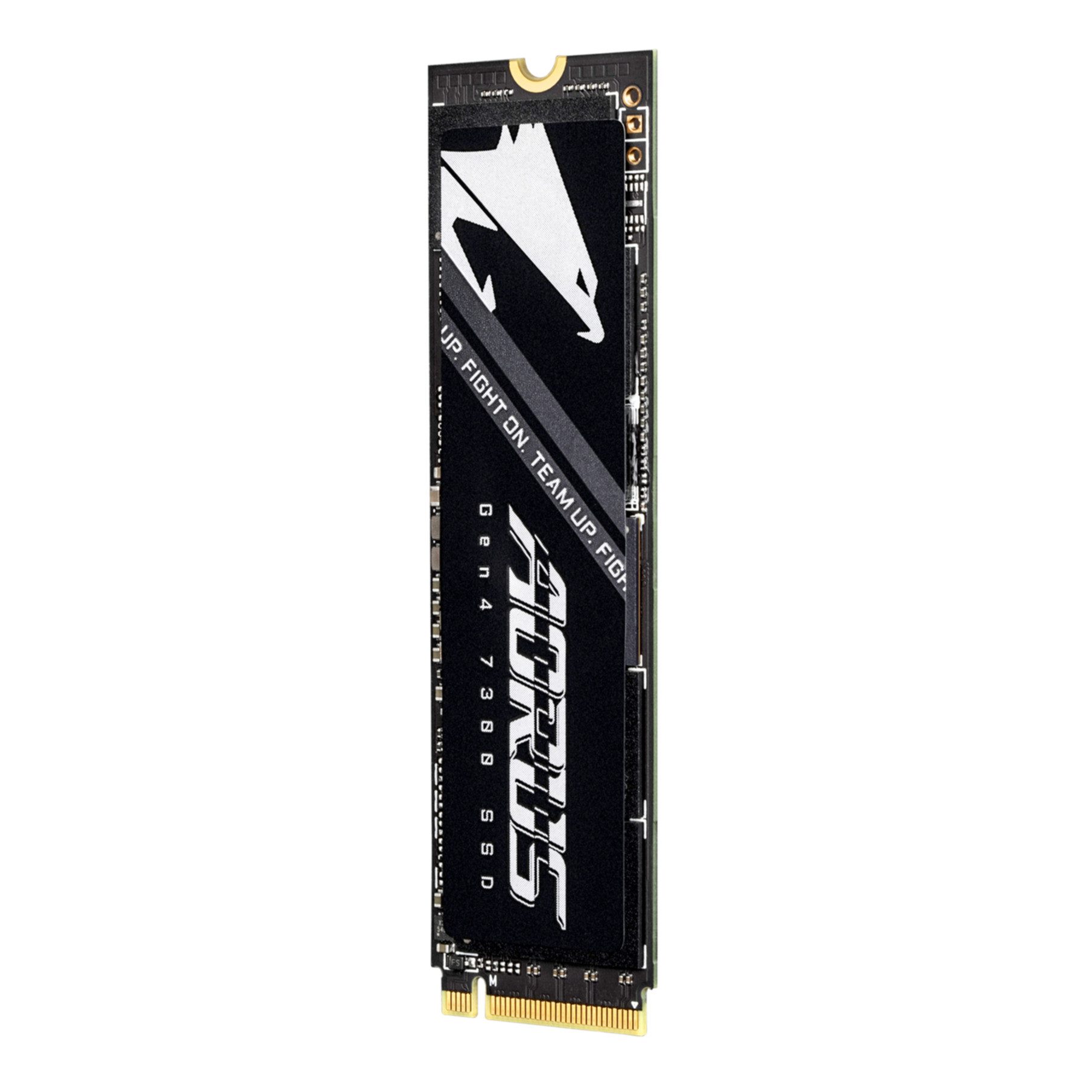 Gigabyte AORUS Gen4 7300 interne SSD