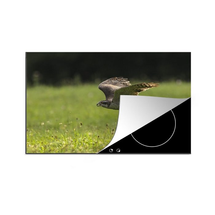 MuchoWow Herdblende-/Abdeckplatte Ein Falke knapp über einer grünen Wiese Vinyl (1 tlg) Ceranfeldabdeckung für die küche Induktionsmatte