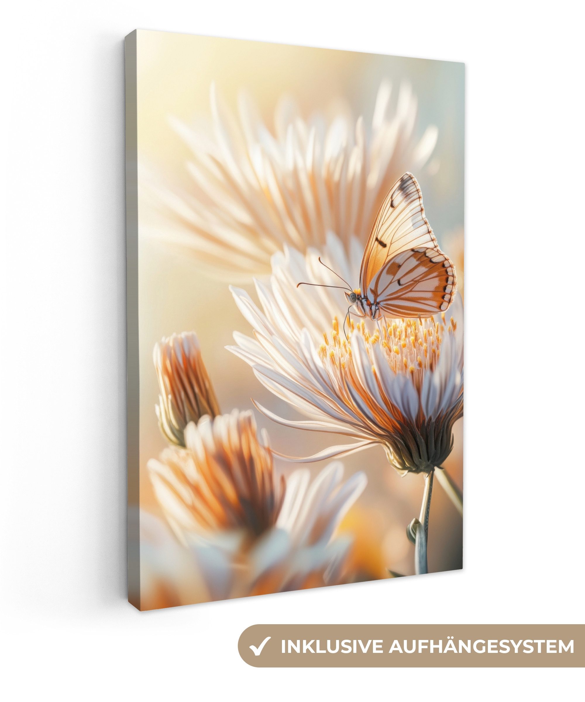 OneMillionCanvasses® Leinwandbild Schmetterling - Blume - Orange, Fotodruck günstig online kaufen