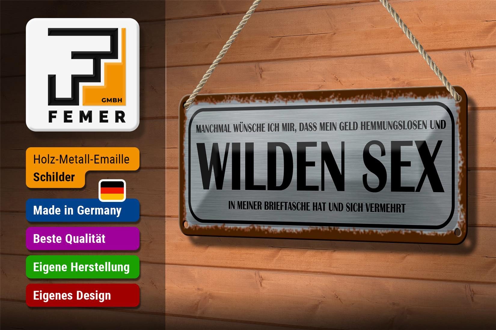 Femer GmbH Metallschild Spruch 27x10cm wünsche ich mir Geld wilden Sex, (1 St), gewölbte Oberfläche, abgerundete Ecken, umgeschlagene Kanten