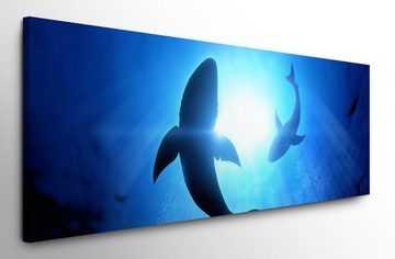 möbel-direkt.de Leinwandbild Bilder XXL Haifische Wandbild auf Leinwand