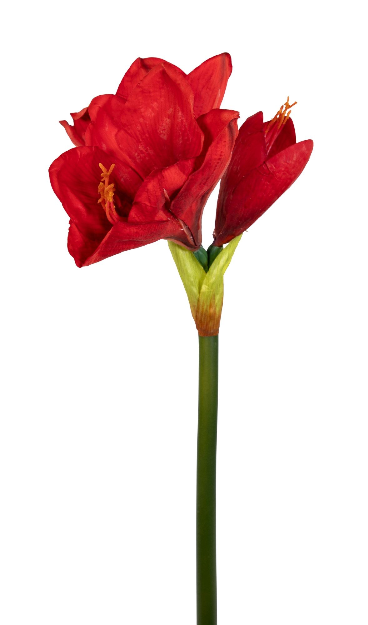 Kunstblume Amaryllis Real Touch 68cm GA Dekoblumen künstliche Blumen Ritterstern, Seidenblumen Roß, Höhe 68 cm, Farbe: Rot, Deko-Blume
