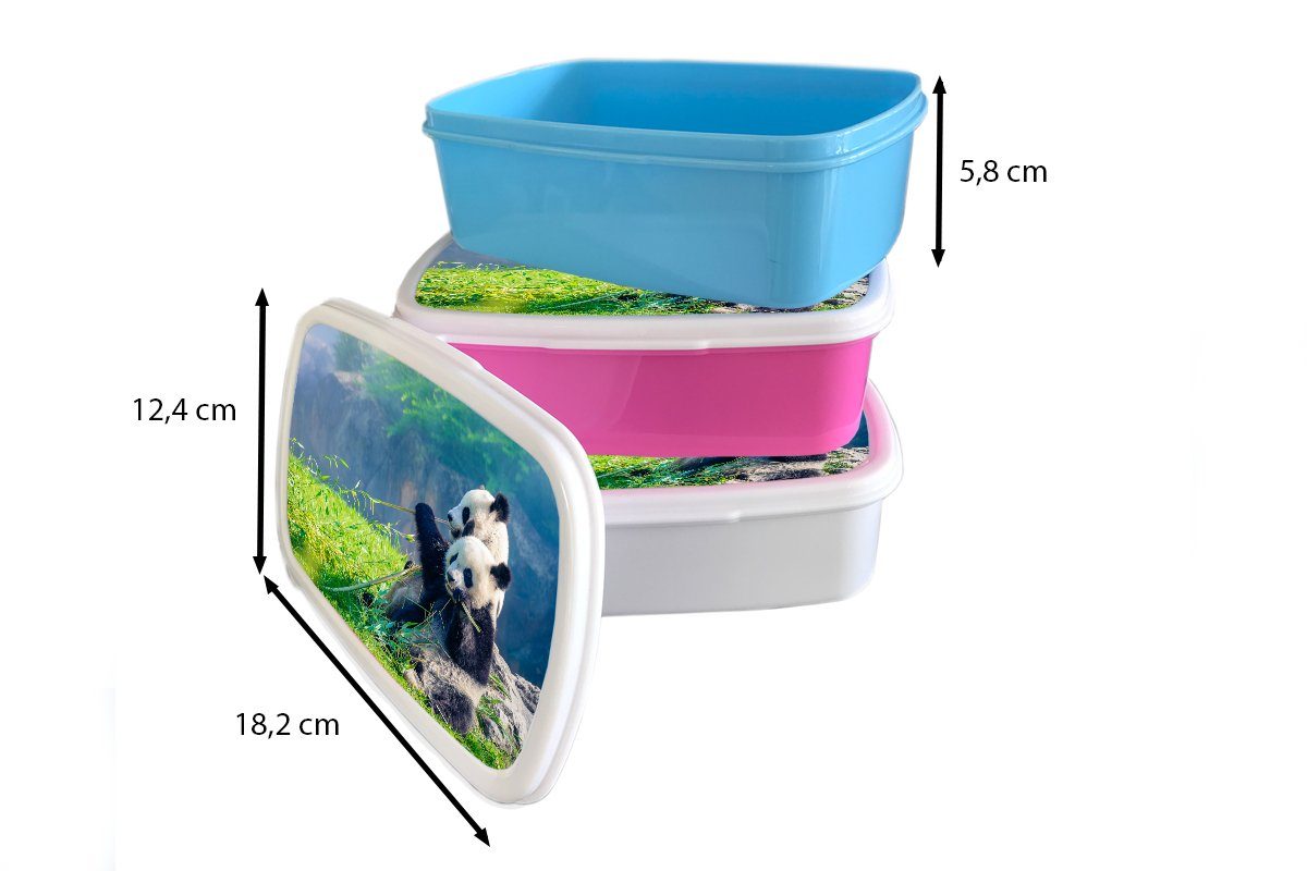 Kunststoff Lunchbox rosa Kinder, Erwachsene, Bambus - für Brotbox Panda MuchoWow Brotdose - (2-tlg), Snackbox, Gras Mädchen, Kunststoff, - Tiere,