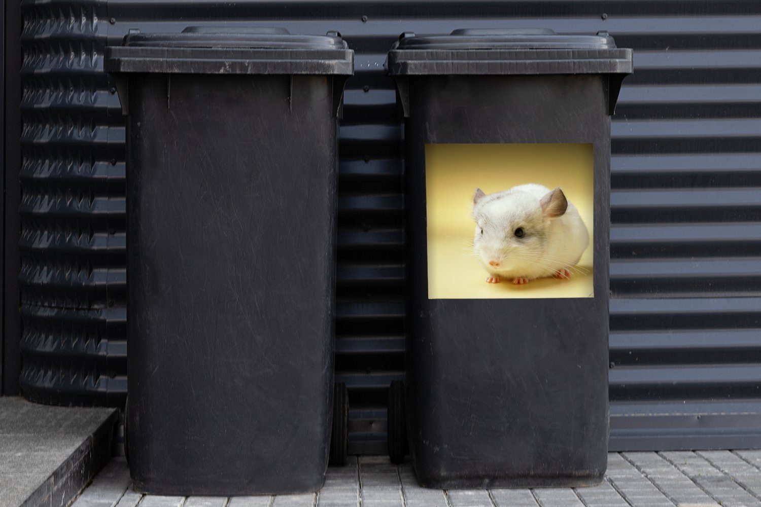 Container, auf Nahaufnahme Mülleimer-aufkleber, eines Abfalbehälter gelbem Hintergrund MuchoWow Chinchillas Eine Wandsticker (1 St), Mülltonne, Sticker,
