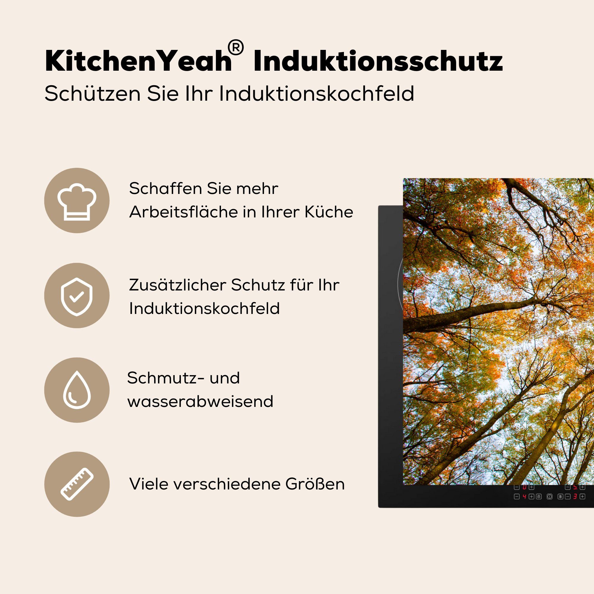 die Ceranfeldabdeckung Schutz Herdblende-/Abdeckplatte 81x52 Vinyl, - für Wald Bäume Herbst, MuchoWow cm, Induktionskochfeld (1 tlg), - küche,