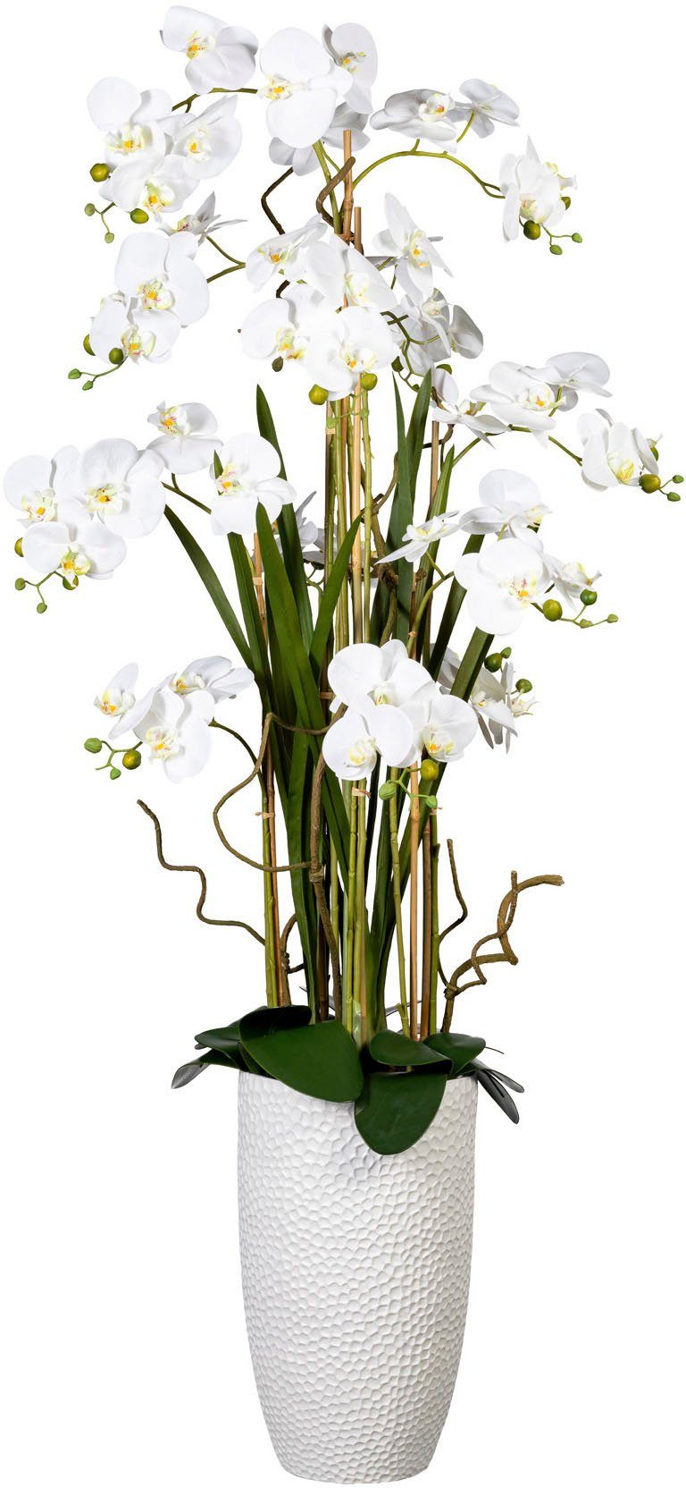 Kunstorchidee Deko-Orchidee Phalaenopsis XXL im Keramiktopf Orchideearrangement, Creativ green, Höhe 160 cm