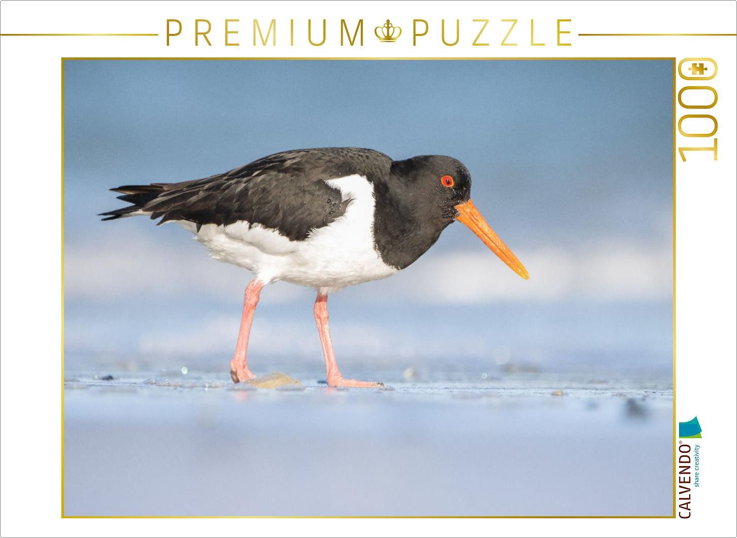 CALVENDO Puzzle CALVENDO Puzzle Austernfischer (Oystercatcher), 1000 Teile Lege-Größe, 1000 Puzzleteile