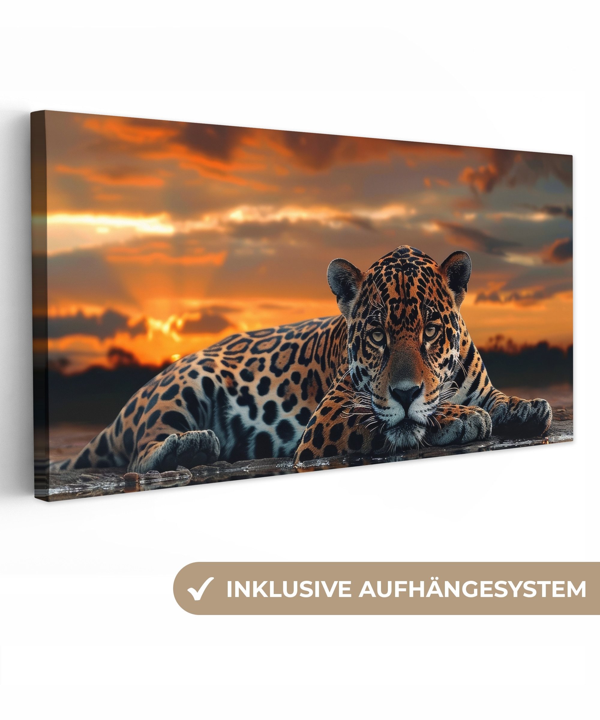 OneMillionCanvasses® Leinwandbild Panorama Natur - Leopard günstig online kaufen
