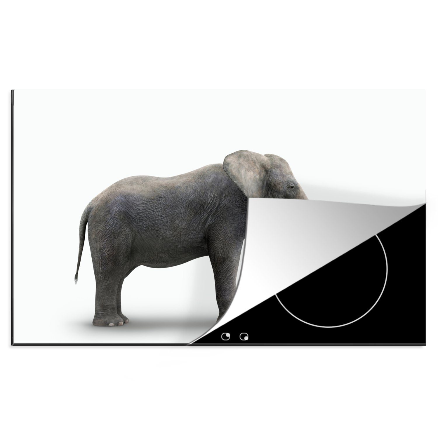 MuchoWow Herdblende-/Abdeckplatte Elefant auf weißem Hintergrund, Vinyl, (1 tlg), 81x52 cm, Induktionskochfeld Schutz für die küche, Ceranfeldabdeckung