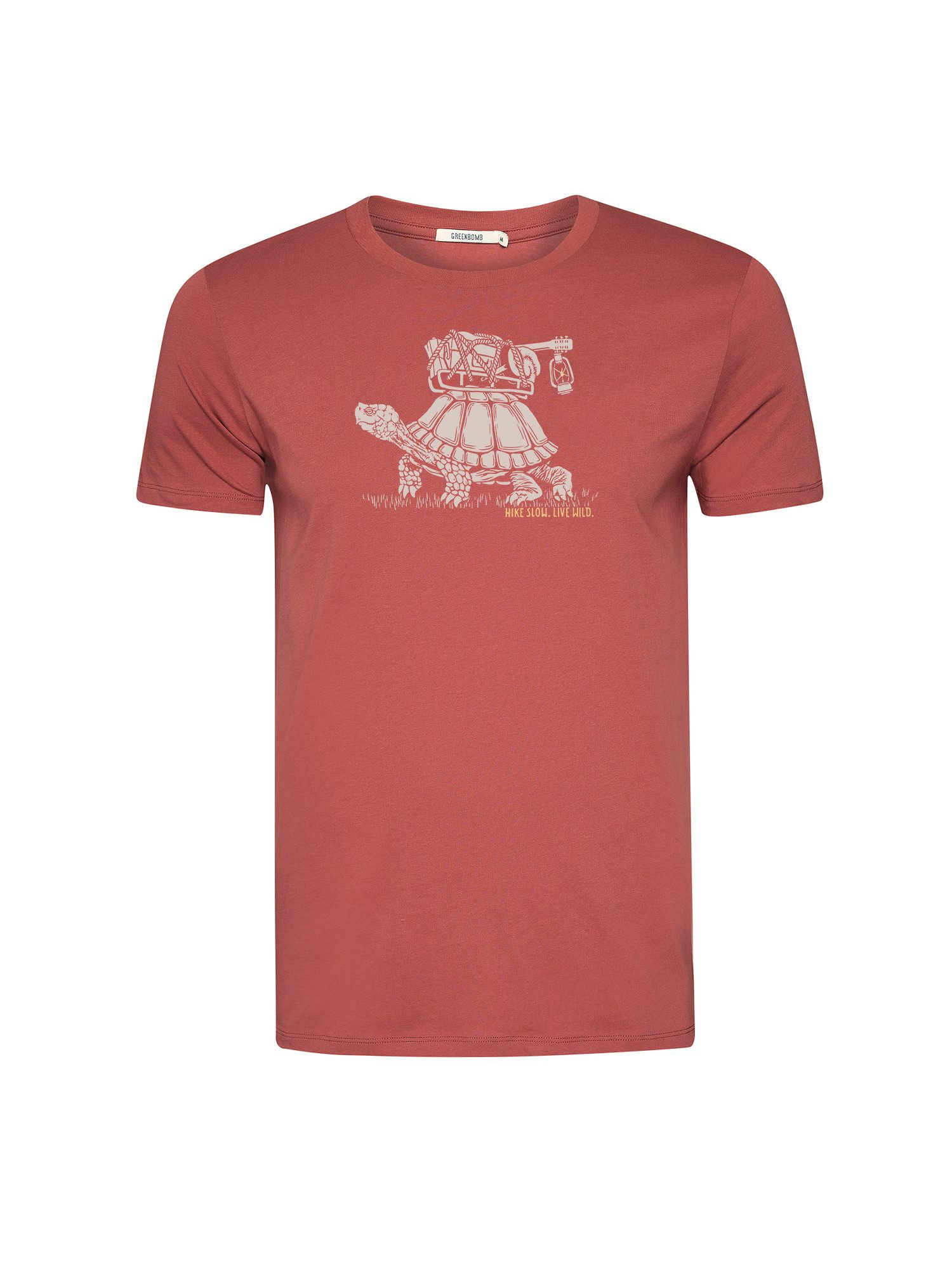T-Shirt Guide Turtle Walk