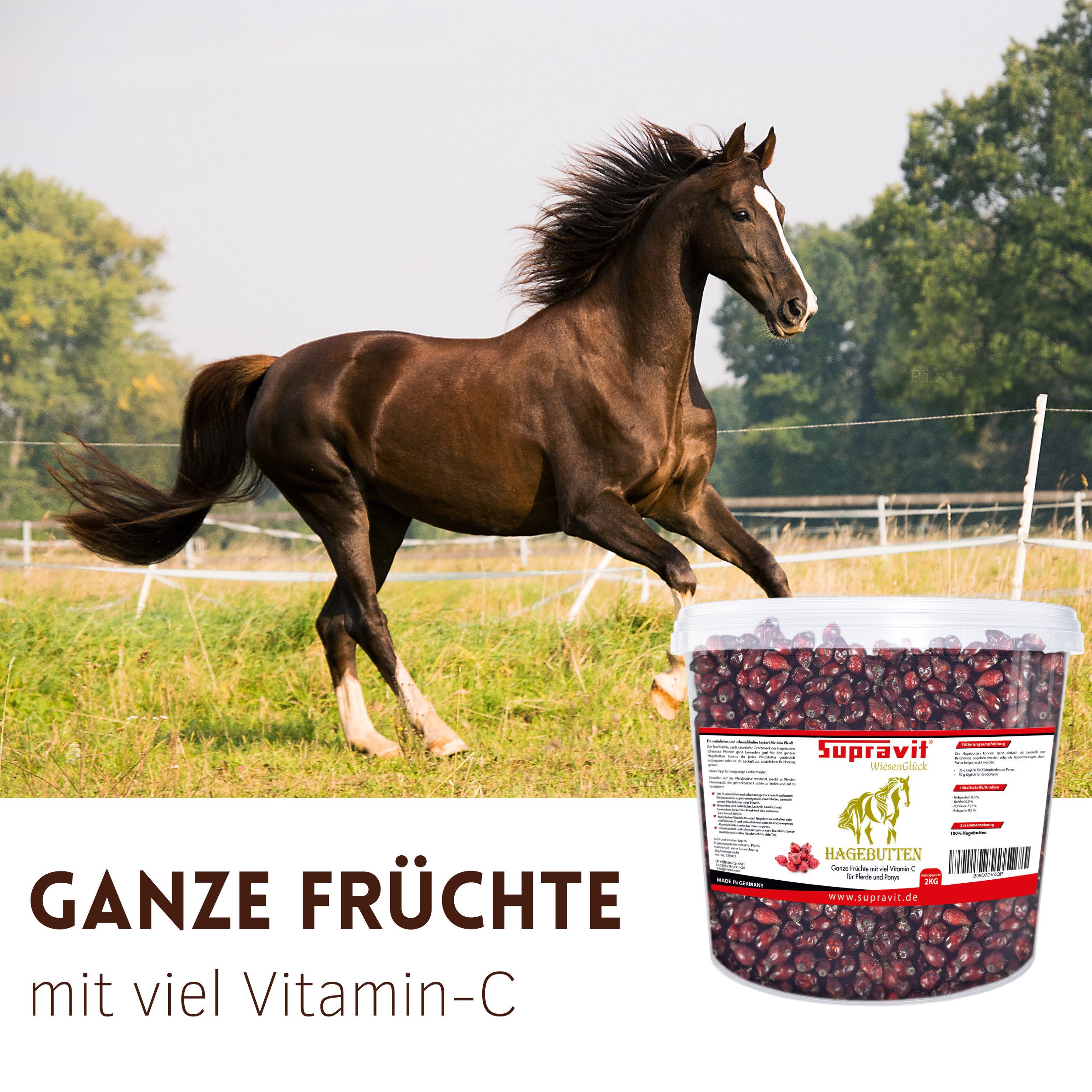 Supravit Getrocknete Hagebutten - Ganze Früchte - Pferde Ergänzung & Leckerli Hagebutte, Ergänzungsfutter für: Pferd – Bild 3 von 5