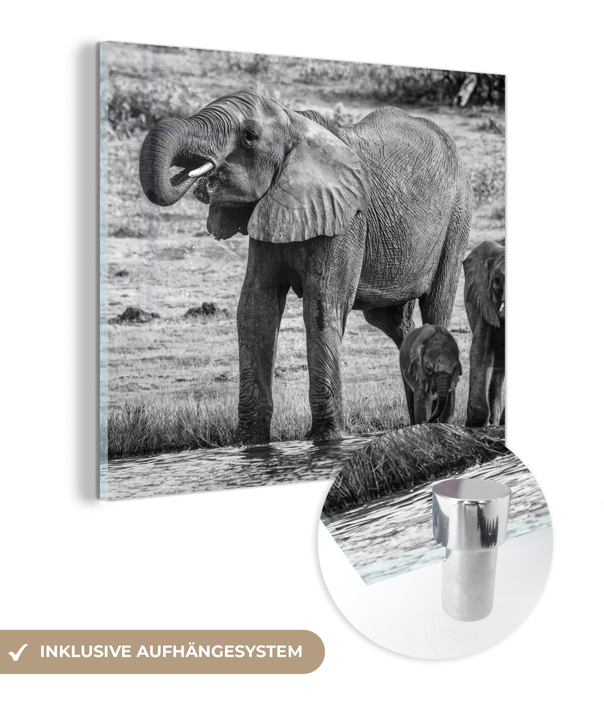 MuchoWow Acrylglasbild Elefant - Wasser - Tiere - Schwarz - Weiß, (1 St), Glasbilder - Bilder auf Glas Wandbild - Foto auf Glas - Wanddekoration