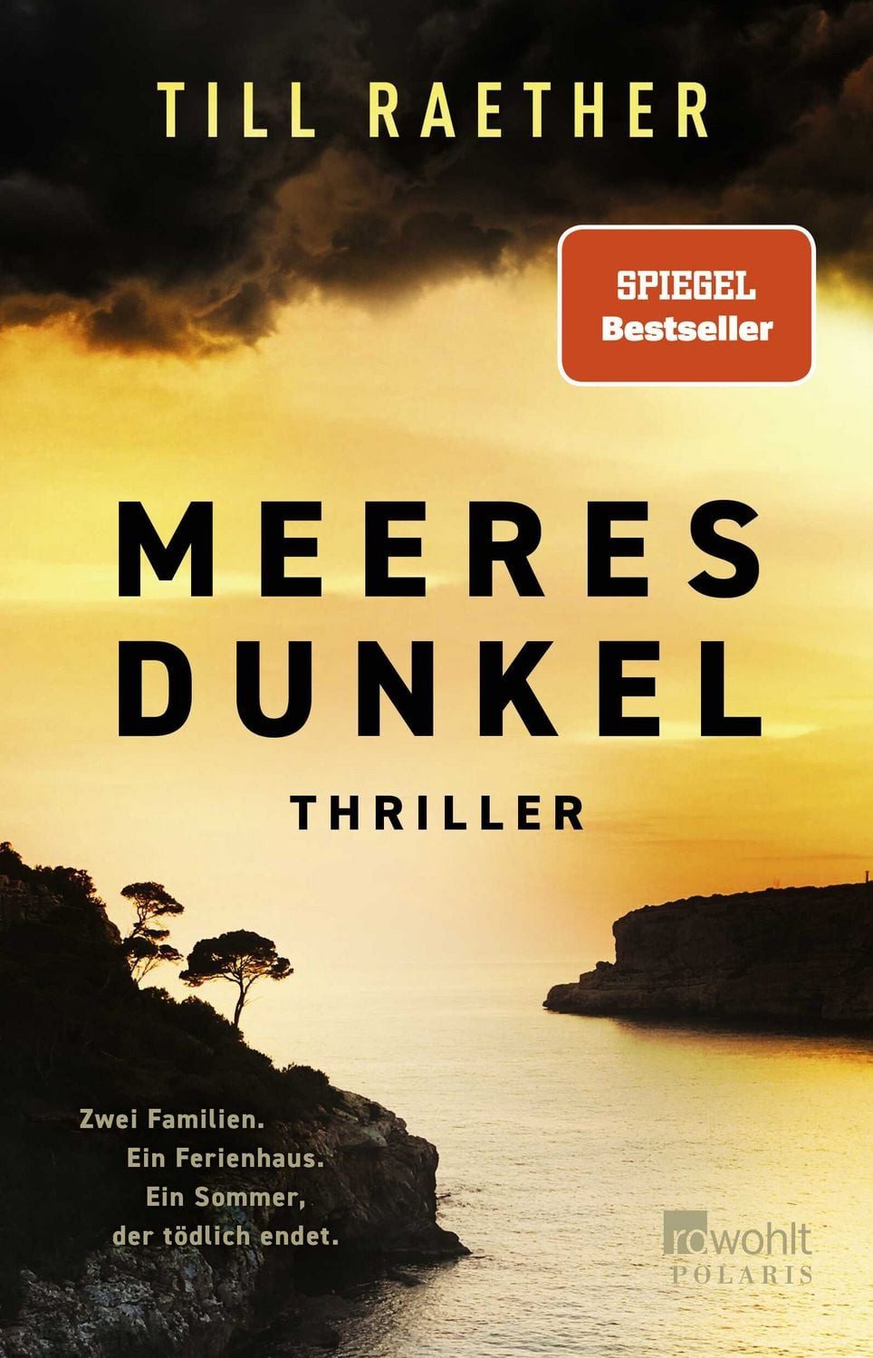 Meeresdunkel / Till Raether, Zwei Familien. Ein Ferienhaus. Ein Sommer, der tödlich endet., SPIEGEL Bestseller, SPIEGEL-Bestseller