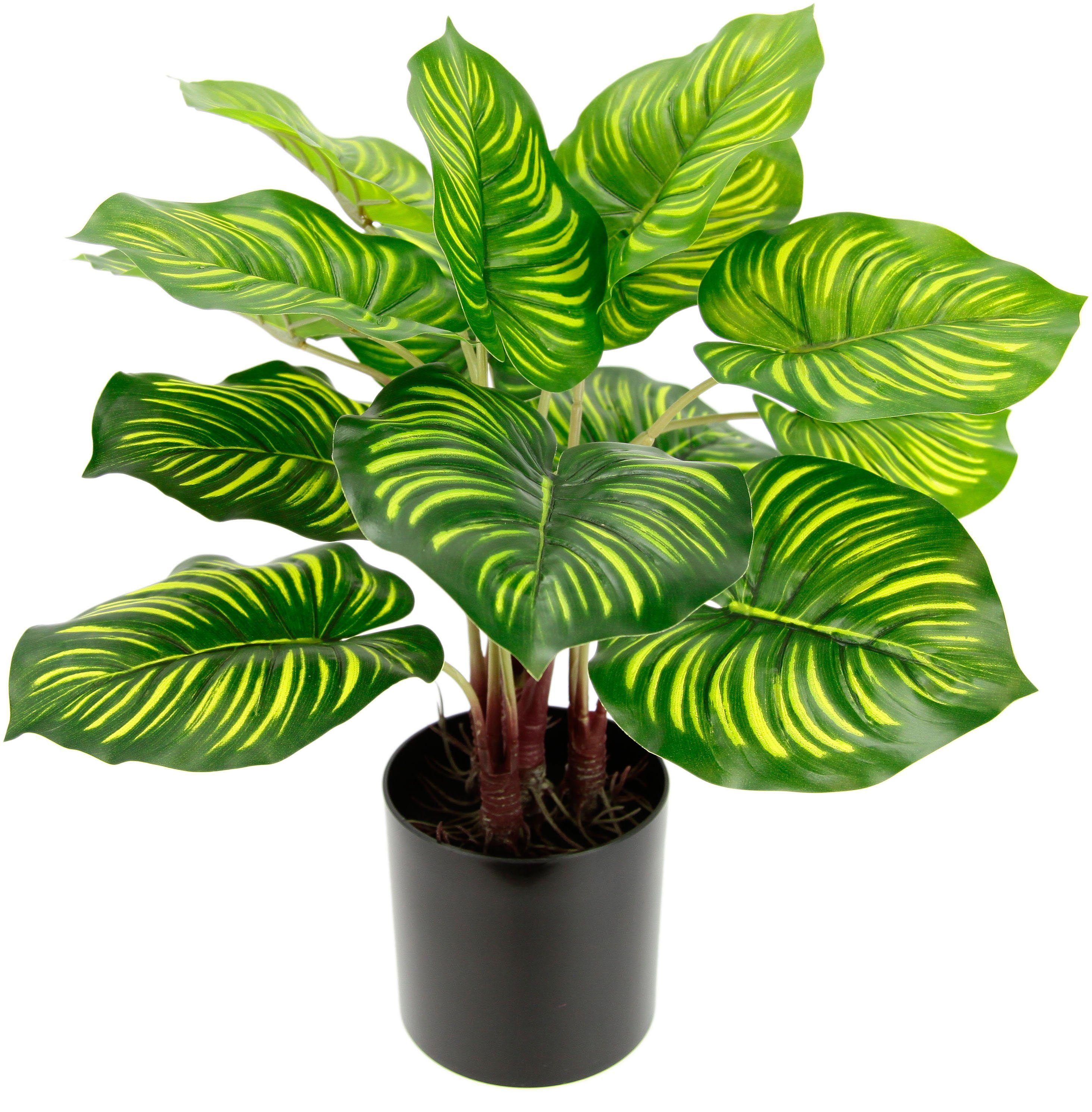 Künstliche Zimmerpflanze Maranthus
