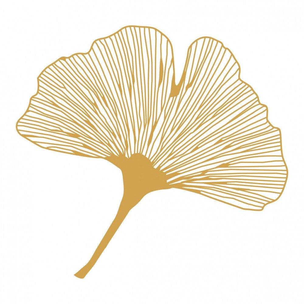 Saraswati Aufkleber Aufkleber Set 4x3cm/1x7,5cm gold-transparent "Ginkgo"