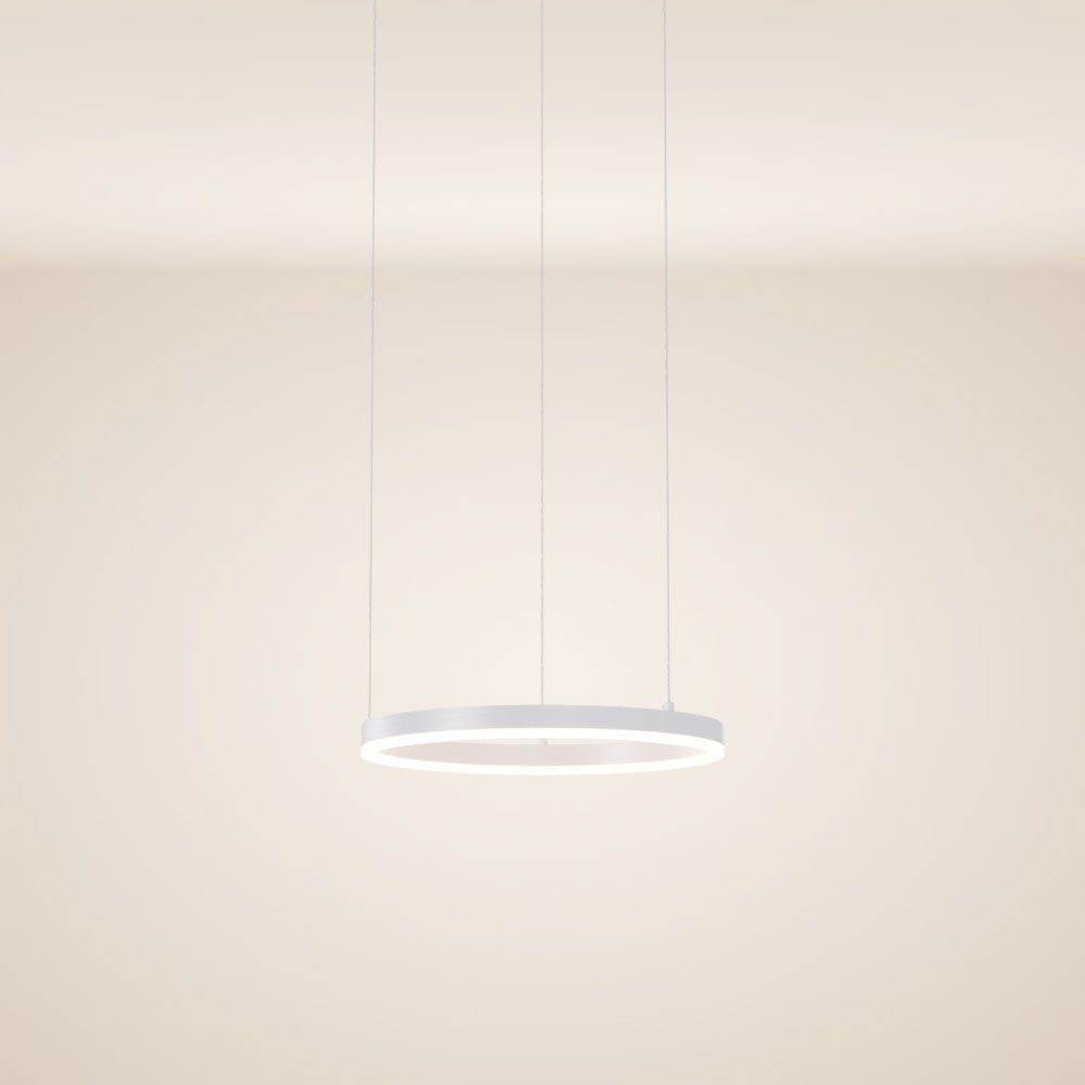 s.luce Pendelleuchte LED Hängelampe Ring 5m Abhängung 40 Warmweiß Weiß