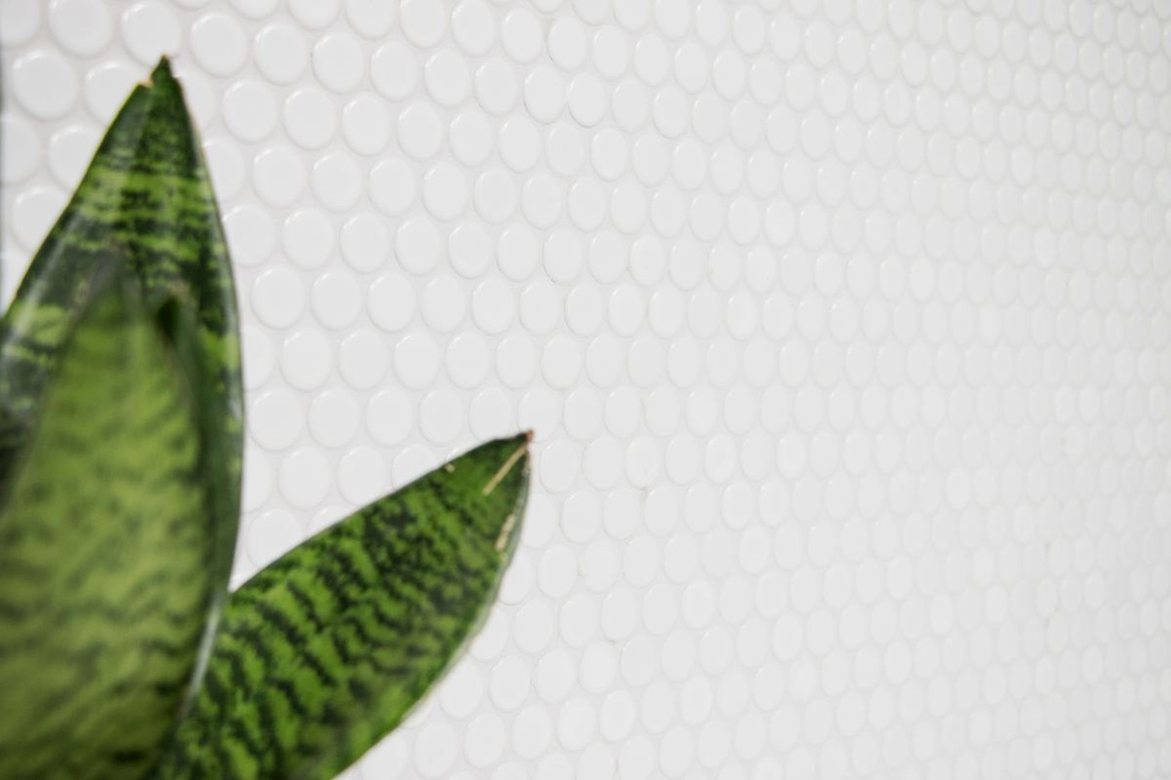 Rundmosaik 32x30.5, Bodenfliese Bodengeeignet matt Knopfmosaik Wand Weiß, Dusche, Küche LOOP Keramik weiß Mosani Frostbeständig