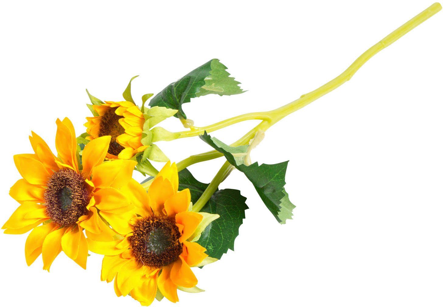 Kunstblume Sonnenblume Sonnenblume, Botanic-Haus, Höhe 38 cm günstig online kaufen