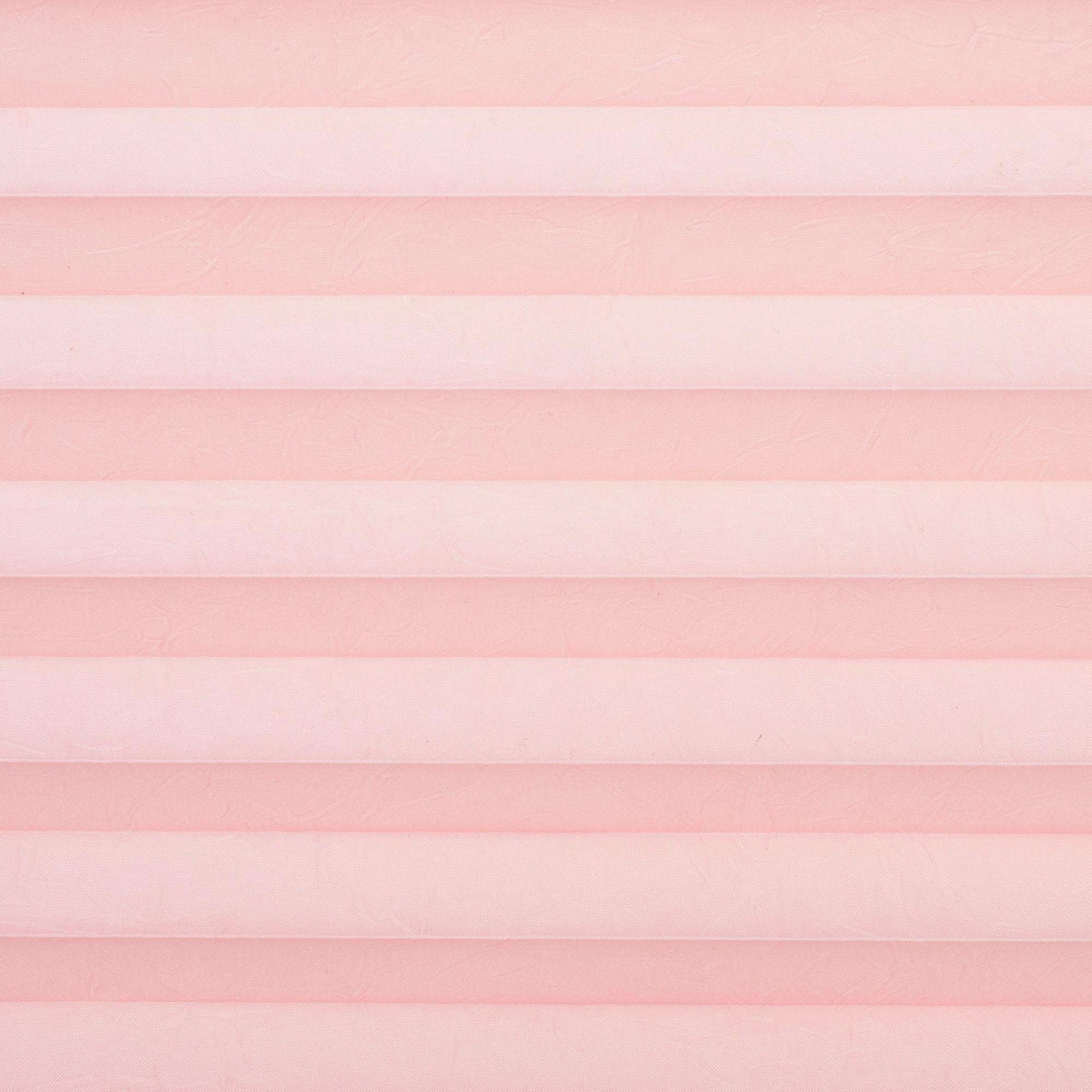 Liedeco Plissee »Pastell«, Lichtschutz, ohne Bohren, verspannt, Klemmfix-Pl günstig online kaufen