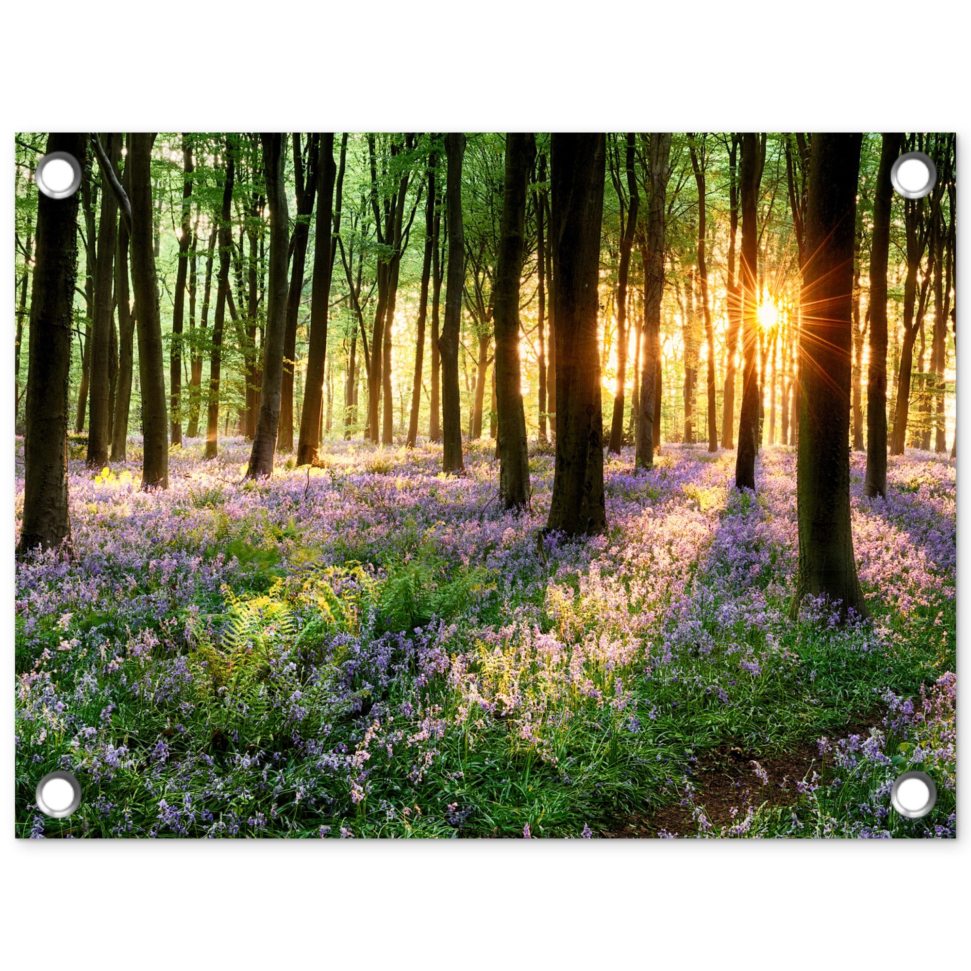 OnlyWow Poster für Garten Wald - Blumen - Lavendel - Sonne - Lila - Natur, Gartenposter, Outdoor Bilder, Gartendekoration Bild, 40x30 cm