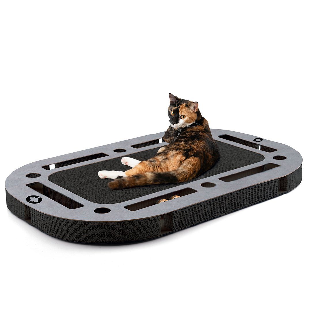 Canadian Cat Company Kratzbrett PlayPlate XL, (BLACK EDITION betonoptik, ca. 85 x 54 x 5,8 cm), mit integrierter Kratzpappe Katzenspielzeug