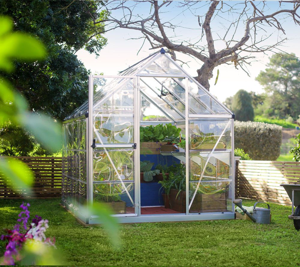 Palram - Canopia Gewächshaus, x 208  | ...