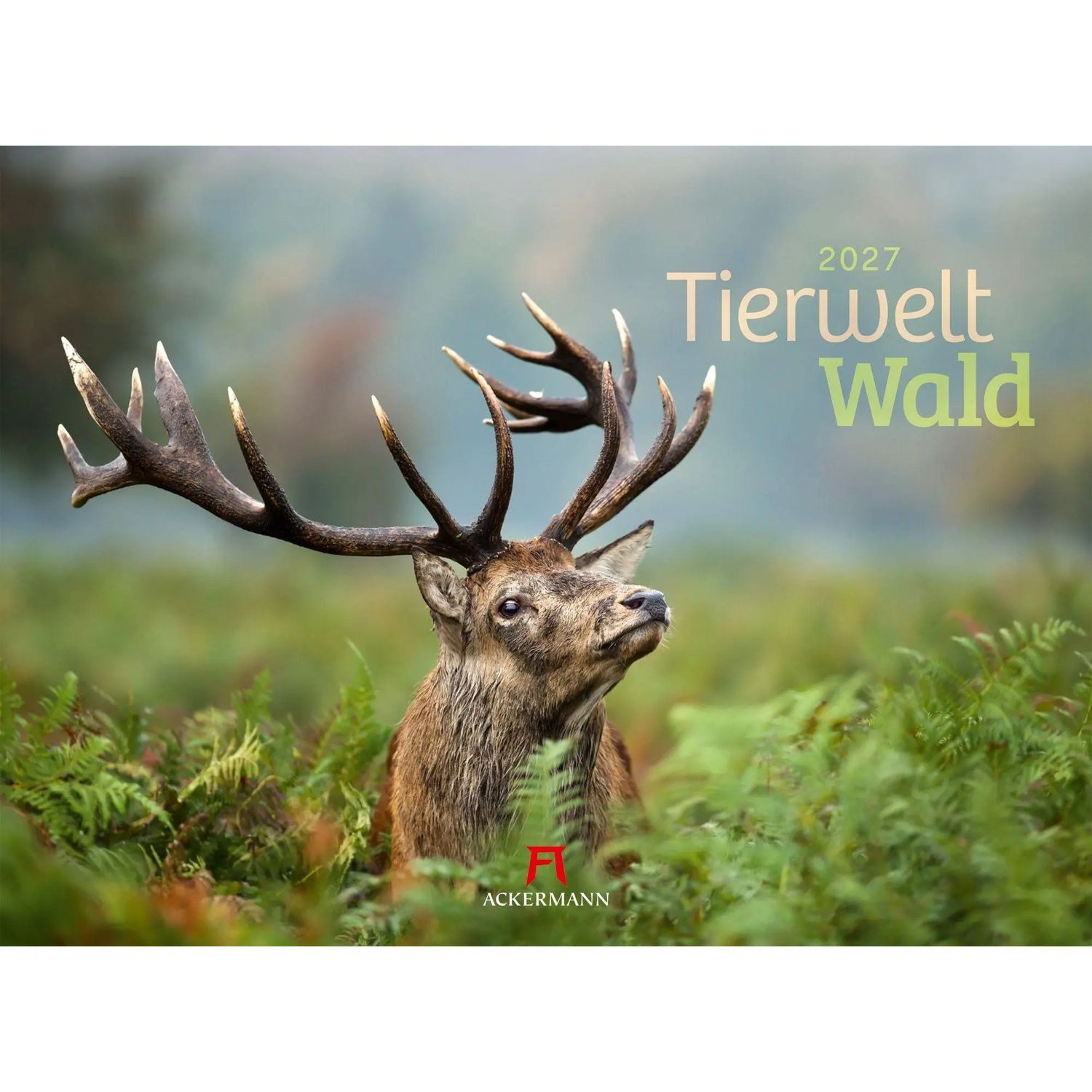 Ackermann Wandkalender Tierwelt Wald Kalender 2027
